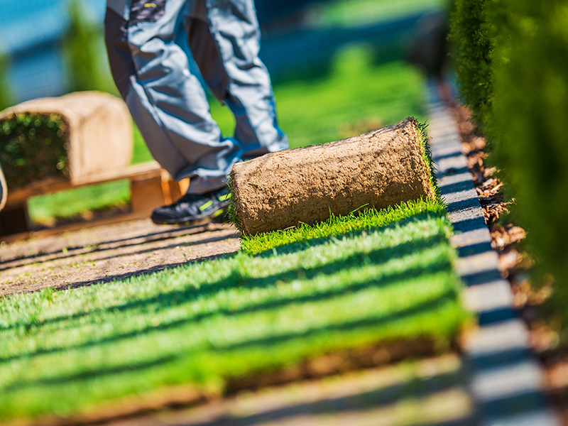 man laying fresh grass